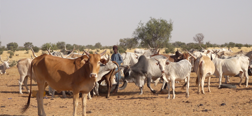 There is no water security without healthy lands