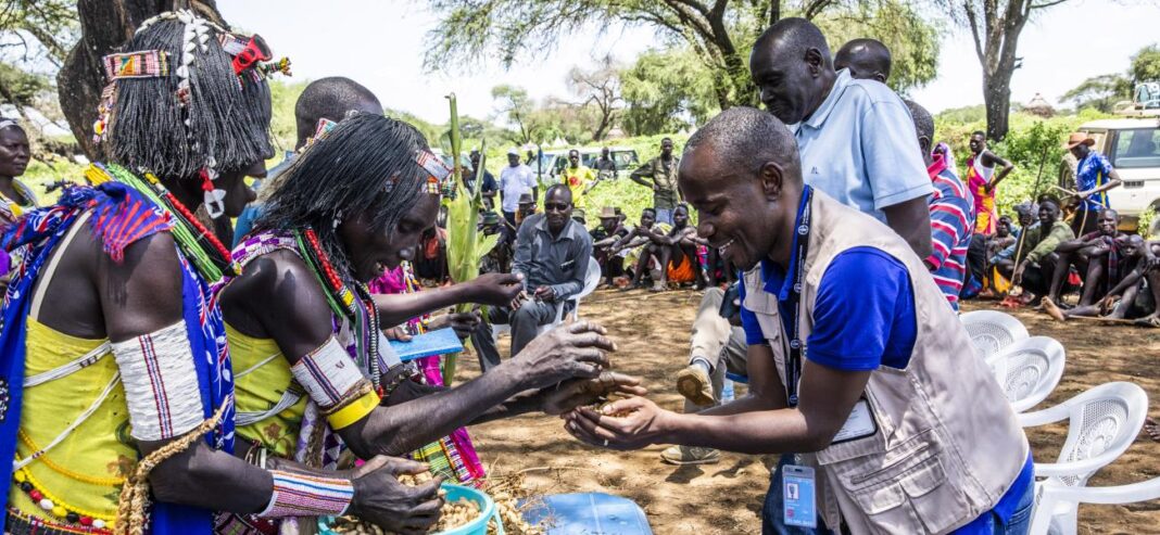 Africa’s progress towards food security