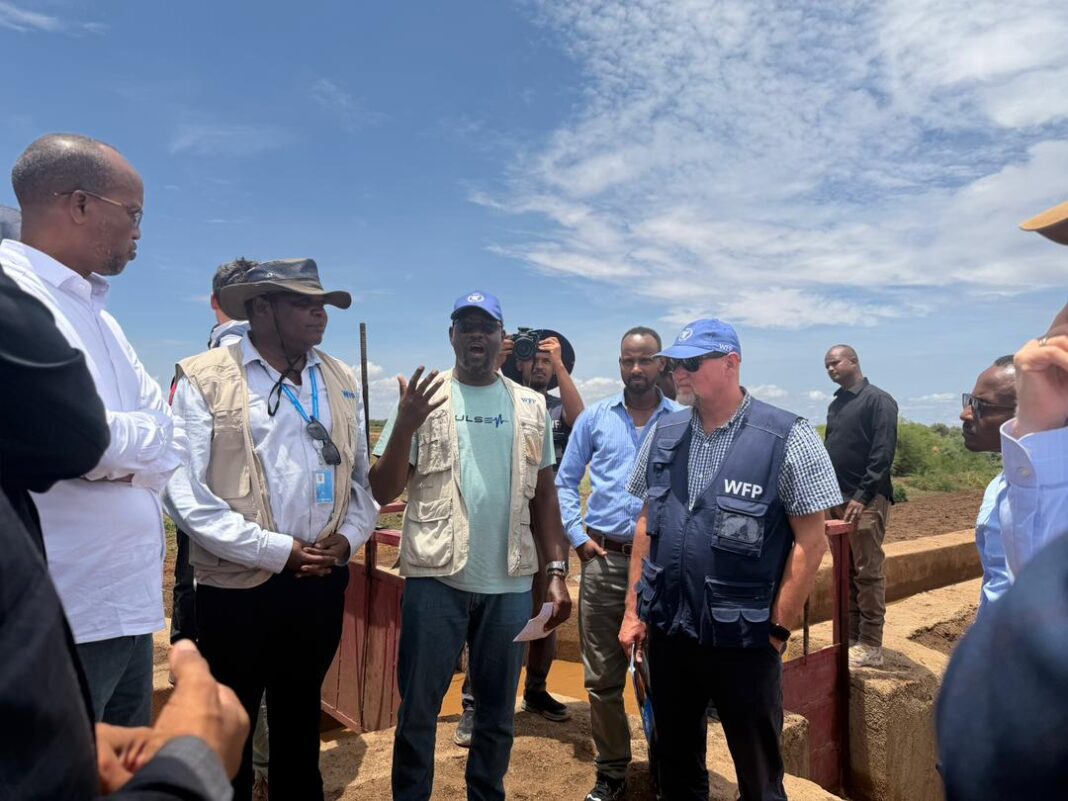 WFP supports Ethiopia to build resilient food systems in Somali region