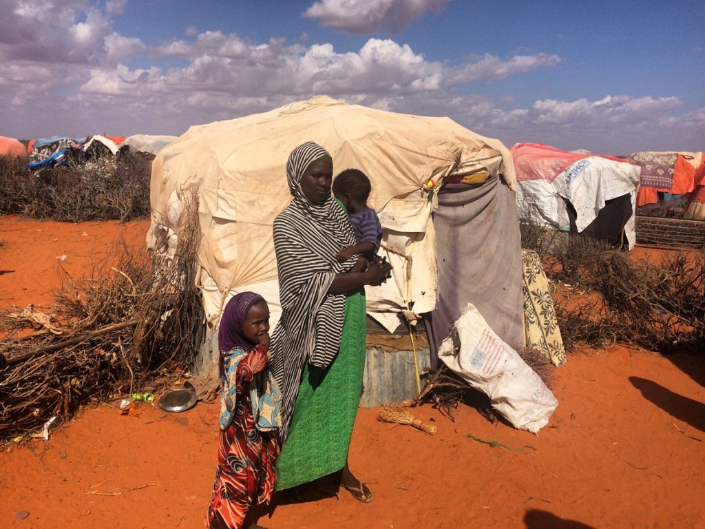 Humanitarian partners harmonize standards for survivor-centered cash support in Somalia