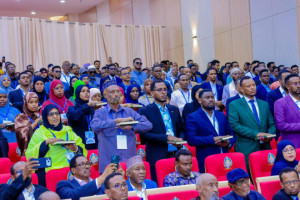 Somaliland introduces digital tracking to cut carbon footprint and protect natural resources