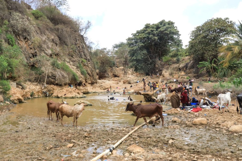 Somalia’s climate crisis: 62,000 displaced in early 2026; UN warns of nationwide surge in needy population
