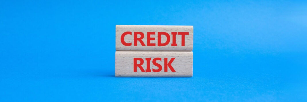 Shaping Africa’s credit risk narrative beyond financial indicators