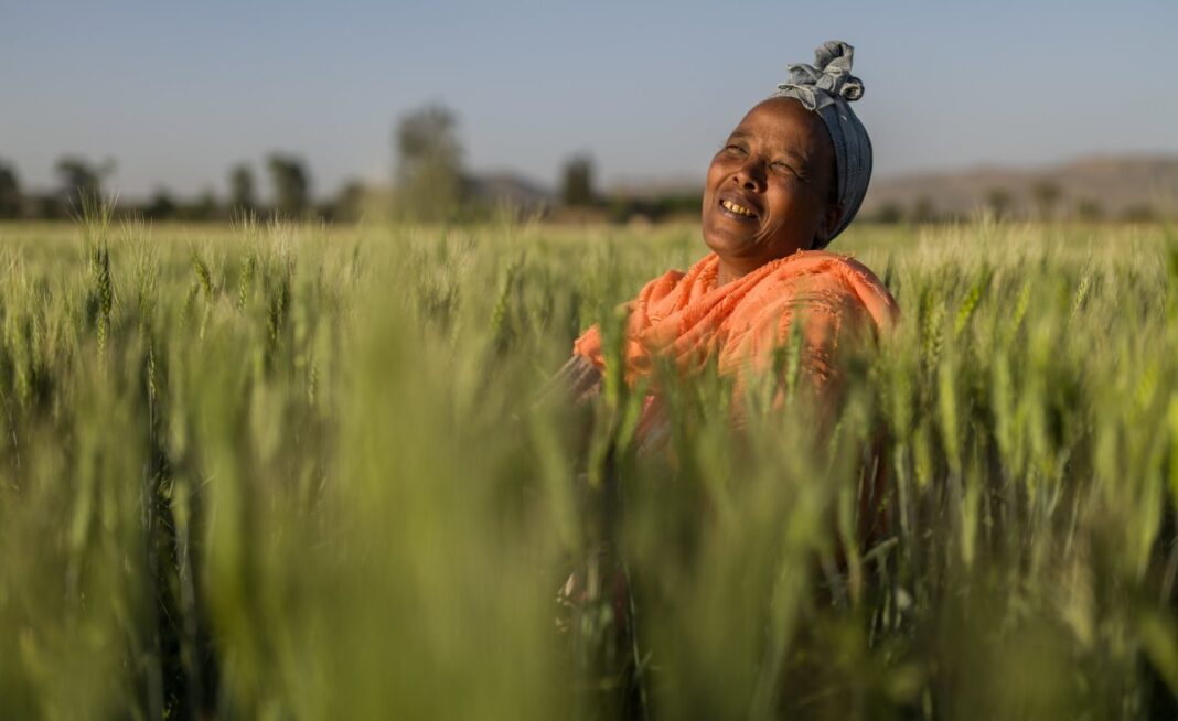 AfDB approves $87 million to combat food crisis fueled by conflict and climate change
