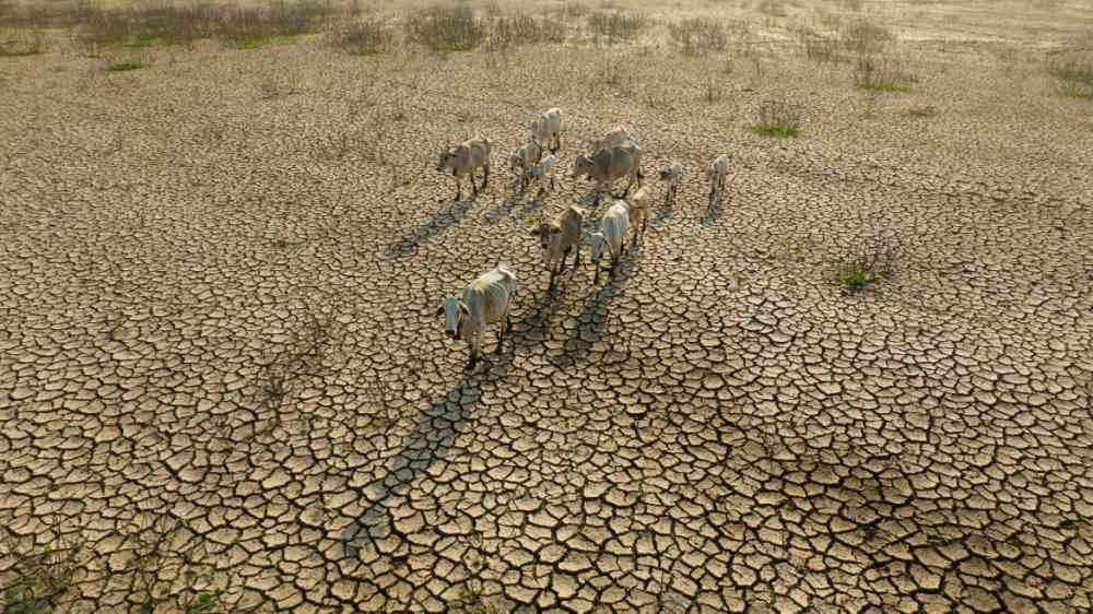 Confronting climate migration in drought-hit East Africa