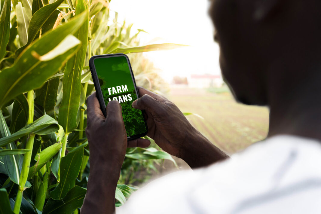 Kenya securitises smallholder farm loans in bid to unlock institutional finance