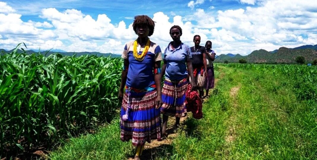 Ethiopian farmers move from survival to stability