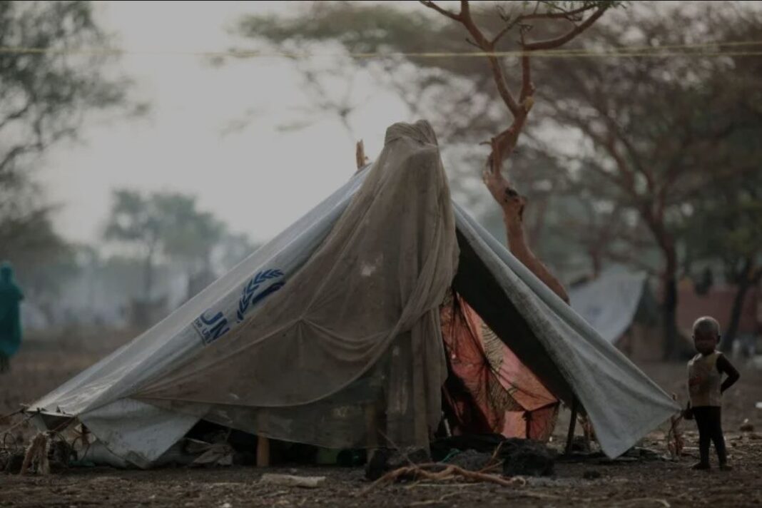Sudanese army recaptures Khor Hassan near Ethiopian border from RSF