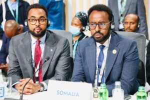 Somalia eyes Gulf support for major urban reconstruction at Baku World Urban Forum