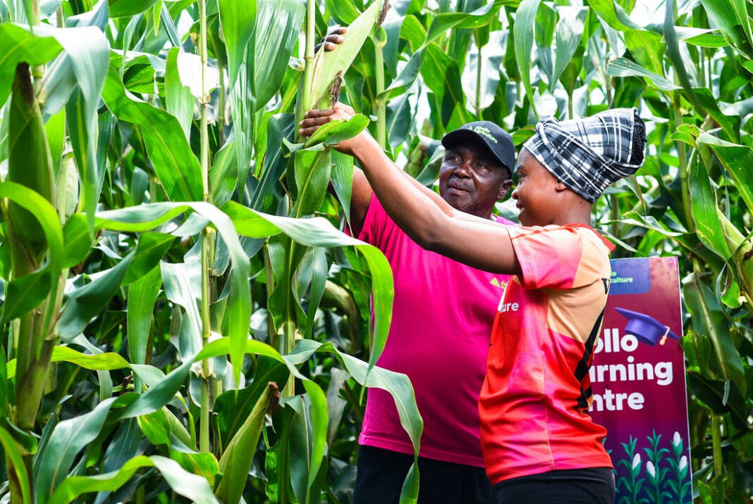 Kaleidofin closes Kenya’s first private-sector Agri Securitisation
