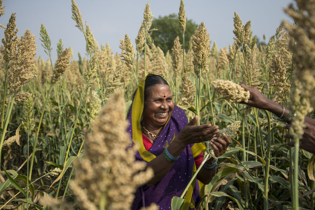 Why Agri-Input Dealers Matter More Than Ever in an Era of Agricultural Uncertainty