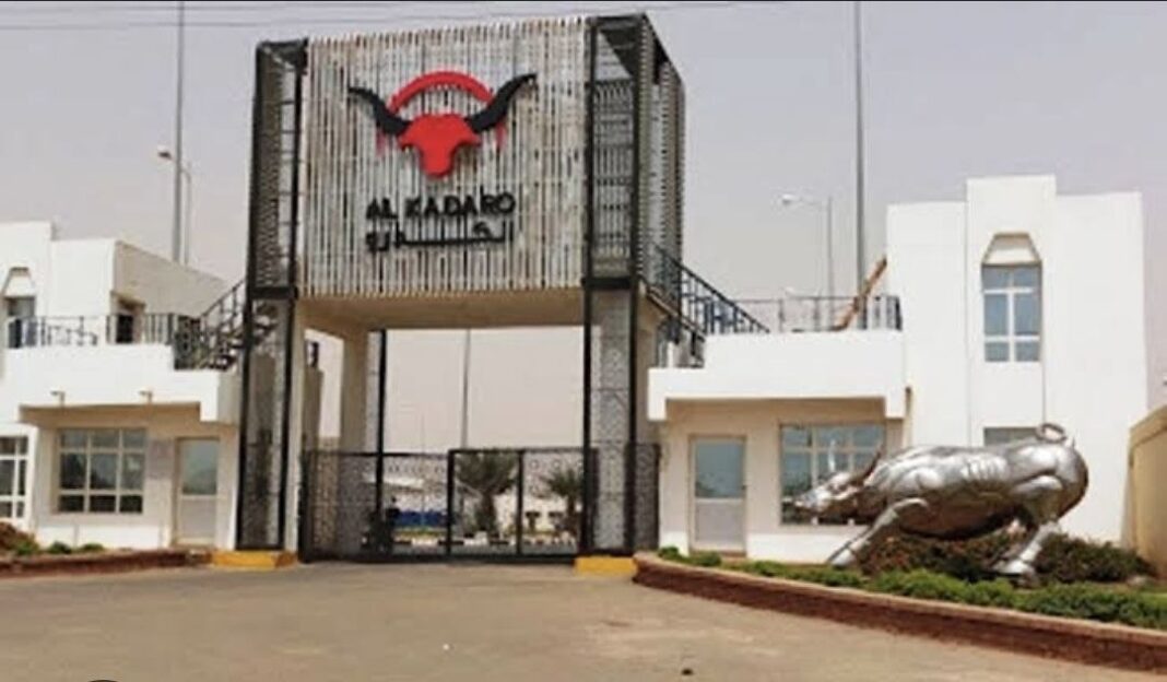 Sudan targets global meat markets with new Gulf and Japan export strategy