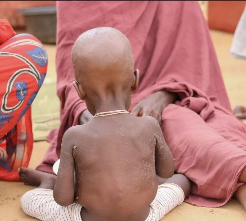 Over 40% of population in Sudan faces acute food insecurity as conflict enters fourth year