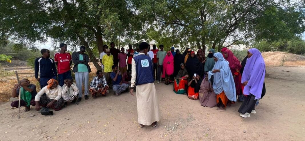Human rights in humanitarian action