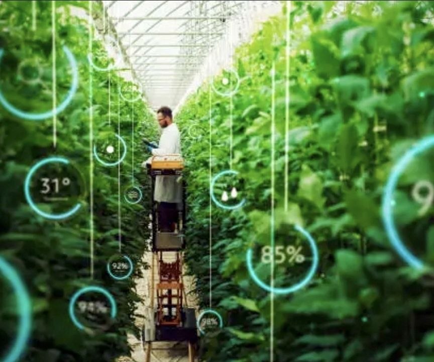Kenya lone African pick in WEF’s 2026 Technology Pioneers