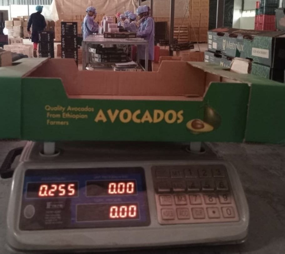 Ethiopia eyeing packaging weight standards to boost export valuation and forex inflows