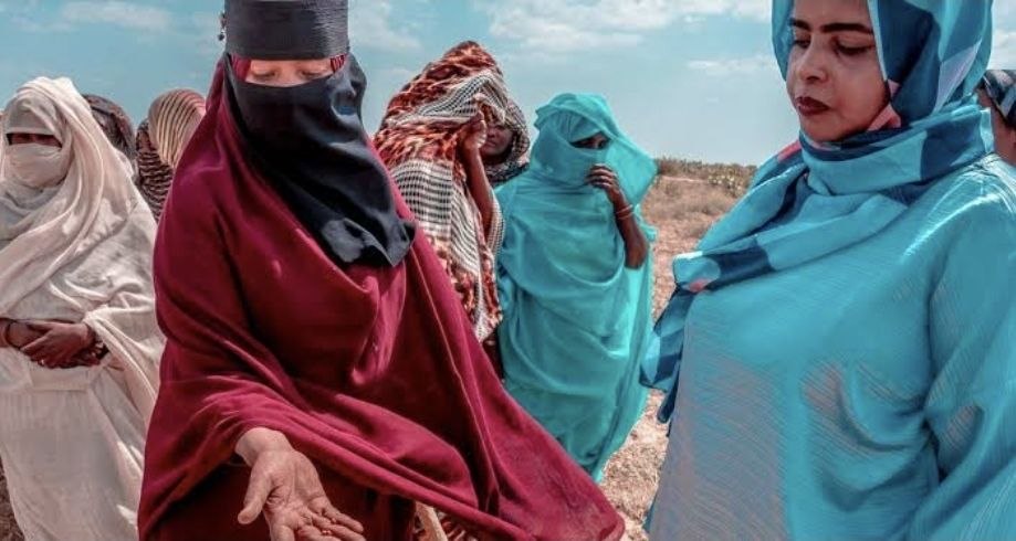 UN warns of ‘Impending Human Rights Disaster’ as fighting escalates near Sudan’s El Obeid