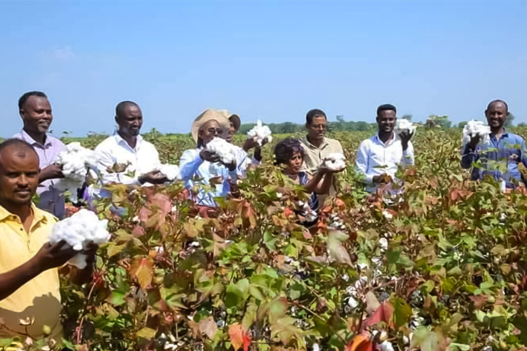 Can Ethiopia weave Africa’s complete cotton-to-clothing value chain?