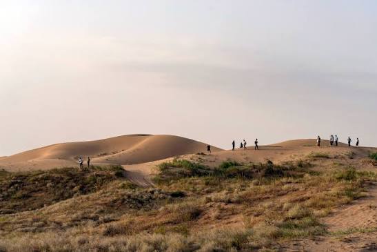 Baijitan visit showcases China’s desert control model