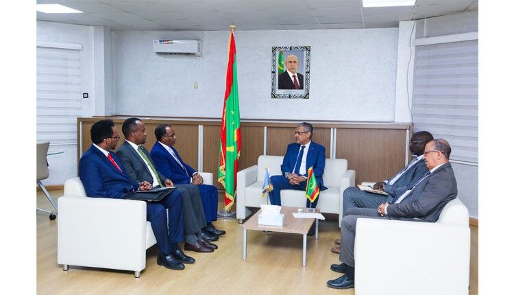 Somalia, Mauritania sign major bilateral pacts