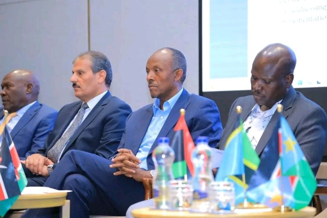 Ethiopia assumes EAPP chairmanship: A strategic shift for regional energy integration