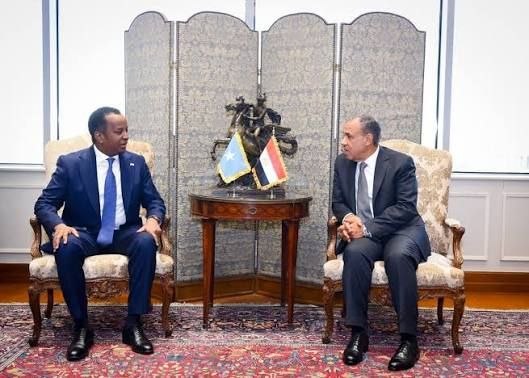 Egypt reaffirms commitment to Somalia’s sovereignty