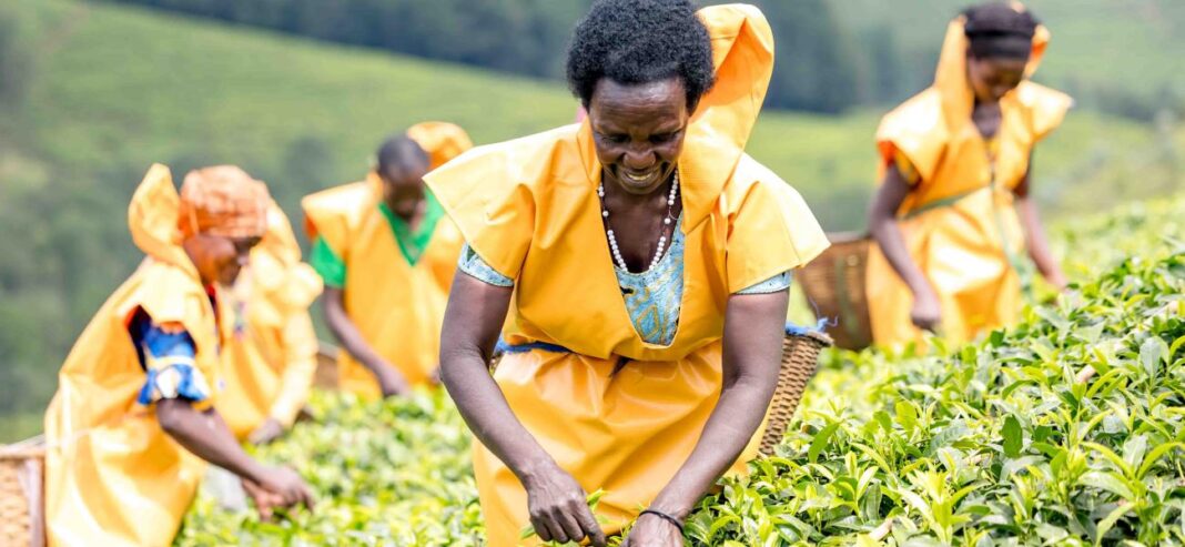 Feeding Africa: Women farmers key to ending hunger