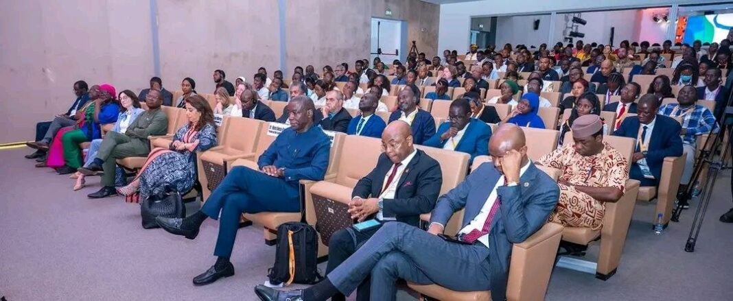 AfDB, UNDP, and OECD partner to launch ACE-Network to navigate global economic crises