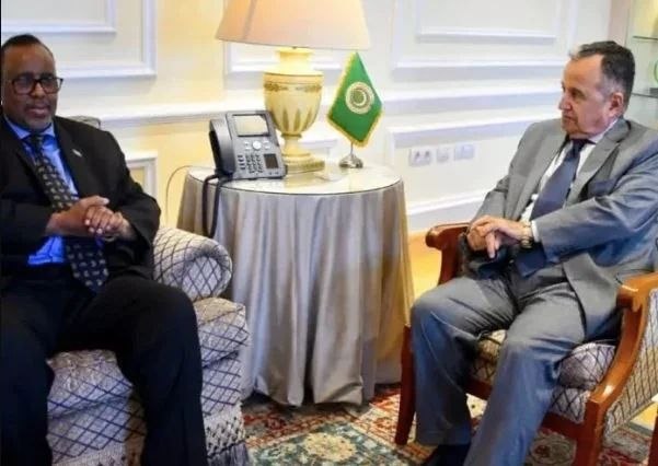 Somalia seeks expanded leadership within the Arab League