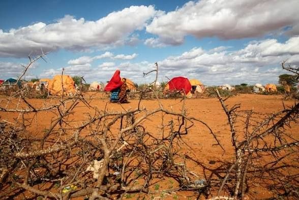 Somalia faces severe hunger crisis as malnutrition admissions surge and aid funding shrinks