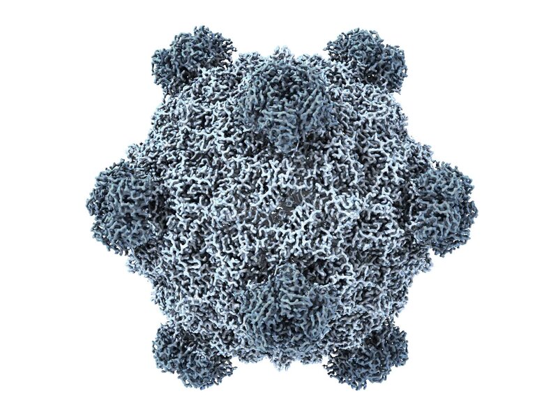 ‘The governance does not exist’: AI just designed 16 viruses from scratch