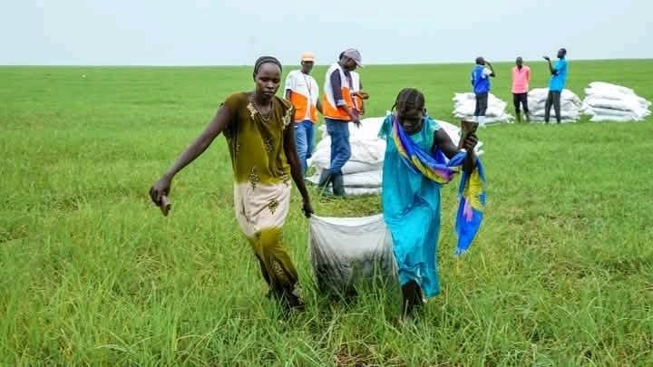 Sudan’s famine risk escalates as spreading drought threatens 2026 harvest