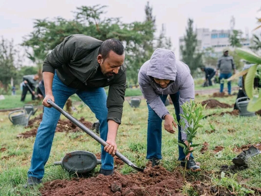 Ethiopia smashes record with 805 million trees planted in a day