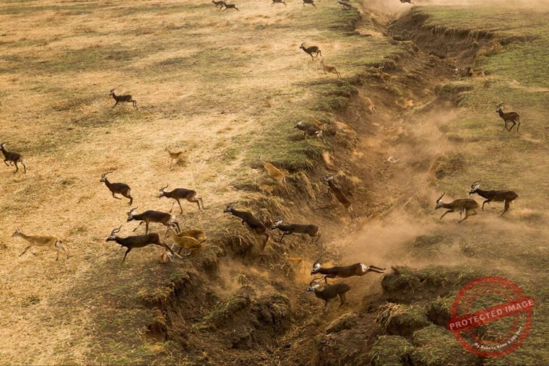South Sudan secures its first-ever UNESCO World Heritage site