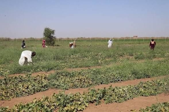 Sudan’s projects project 9% GDP growth amid war, energy crisis