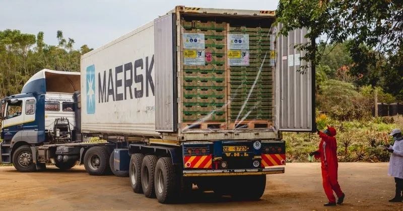 Kenya positioned as digital trade champion as AfCFTA protocol implementation looms
