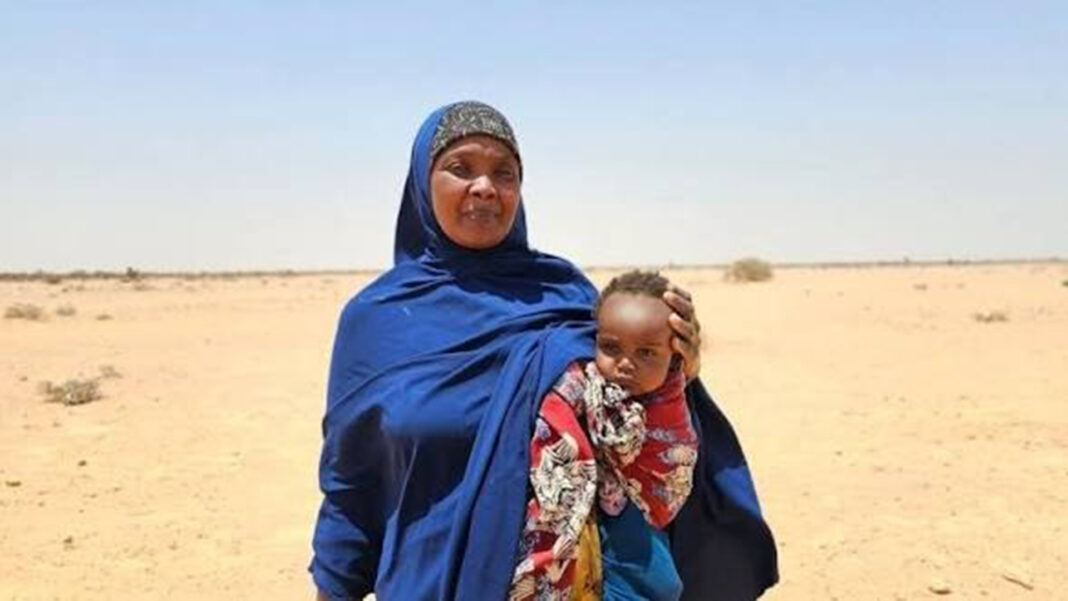  Somali women and girls bear heaviest burden as hunger and looming El Niño threaten famine