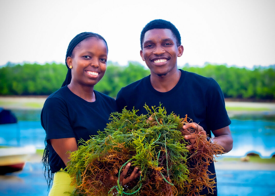 Fish leather and plant fibres drive Africa’s new materials market