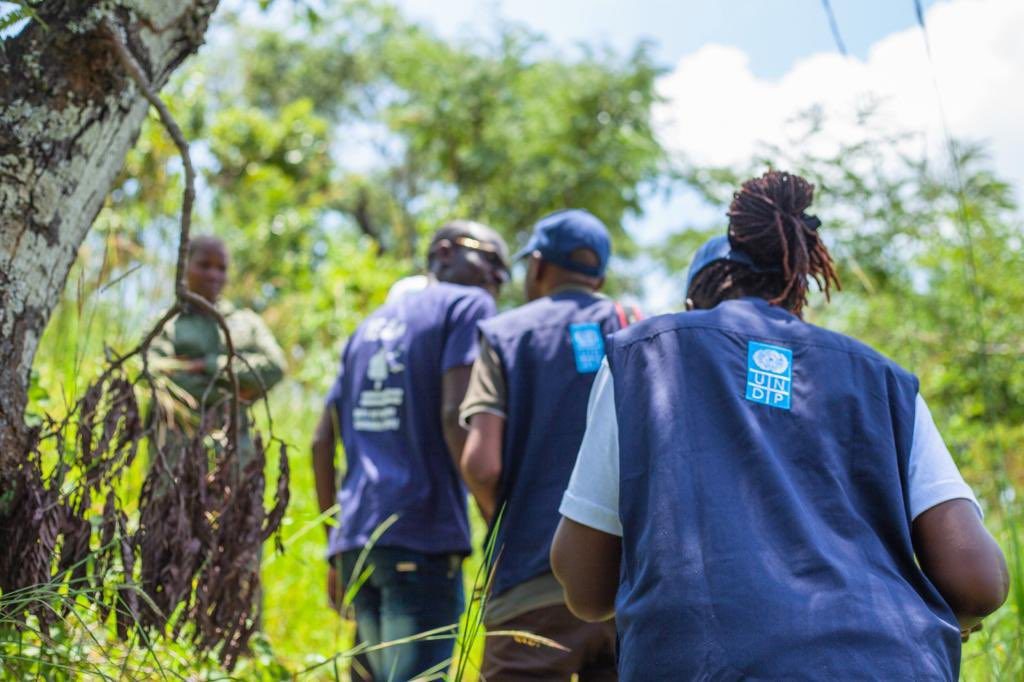 VCMI, East African Alliance Partner to Strengthen Carbon Markets and Climate Finance