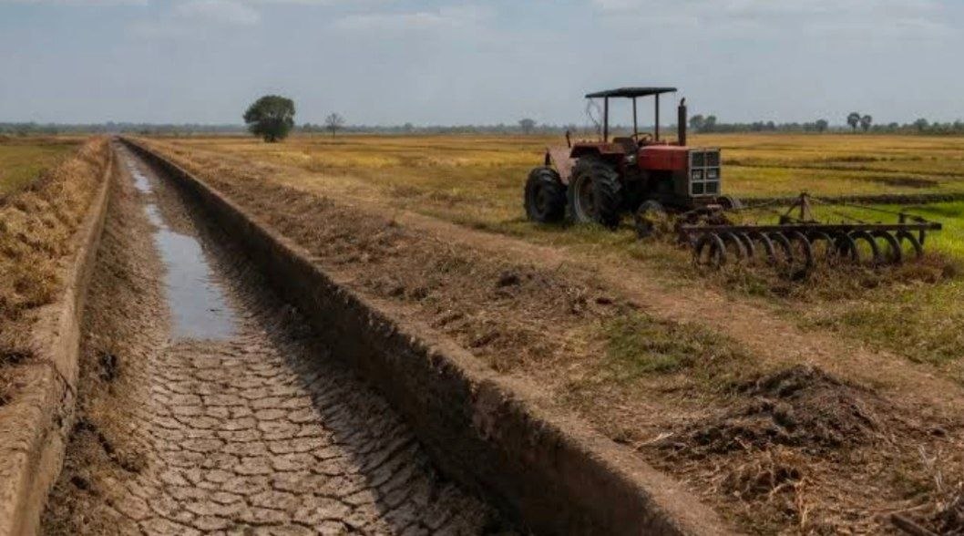 Massive promises, empty fields: the multi-billion-dollar unsuccessful Saudi project in Ethiopia