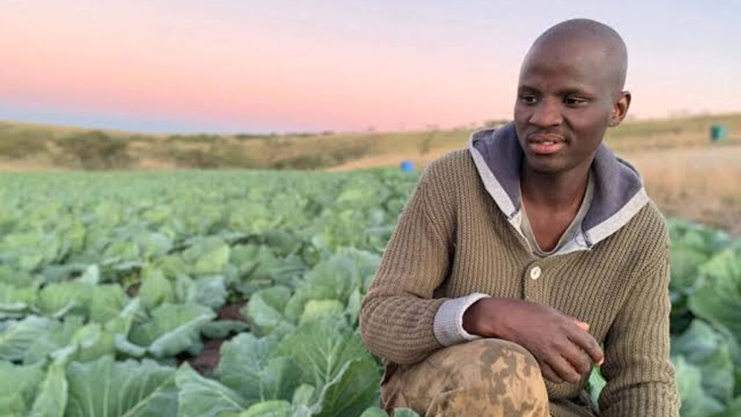 African food-system leaders back market-led model to scale agricultural investment