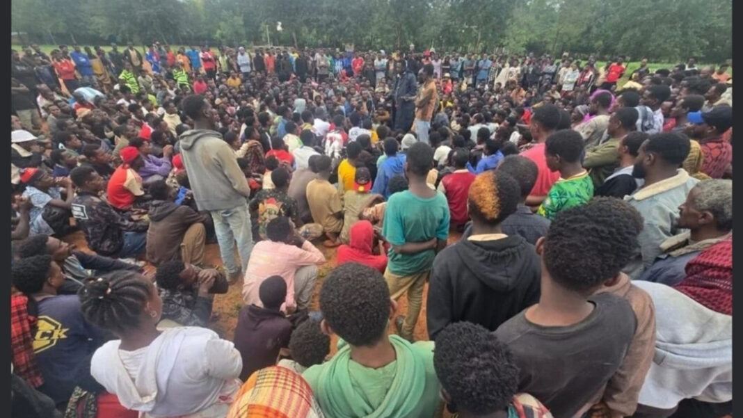 Nearly 36,000 flee Ethiopia’s Moyale Conflict into Kenya as UNHCR warns of urgent food