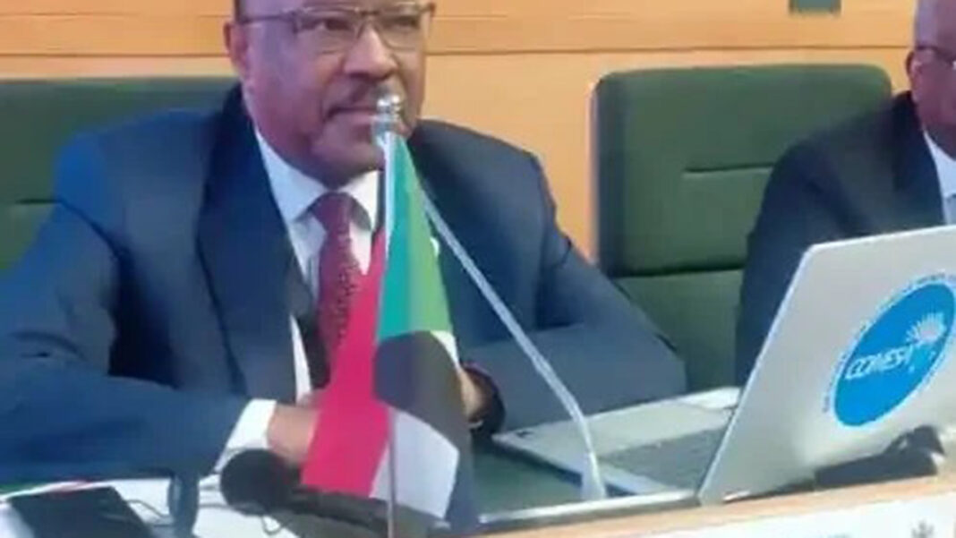 Sudan urges COMESA to label RSF a ‘rebel militia’ at Harare FM’ meeting
