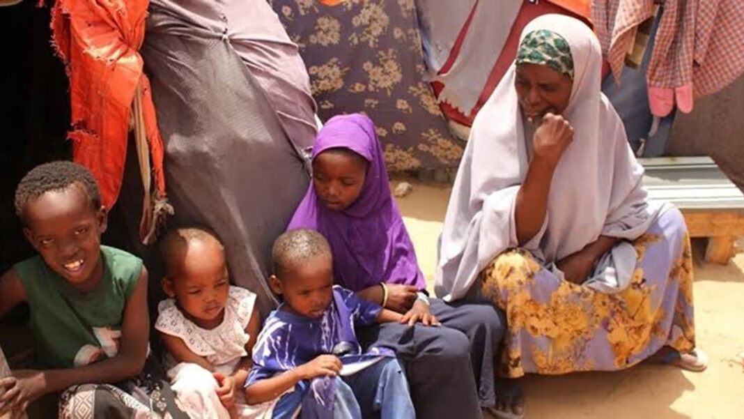 IOM reports over 20,000 Ethiopian migrant journeys toward Yemen since September 10