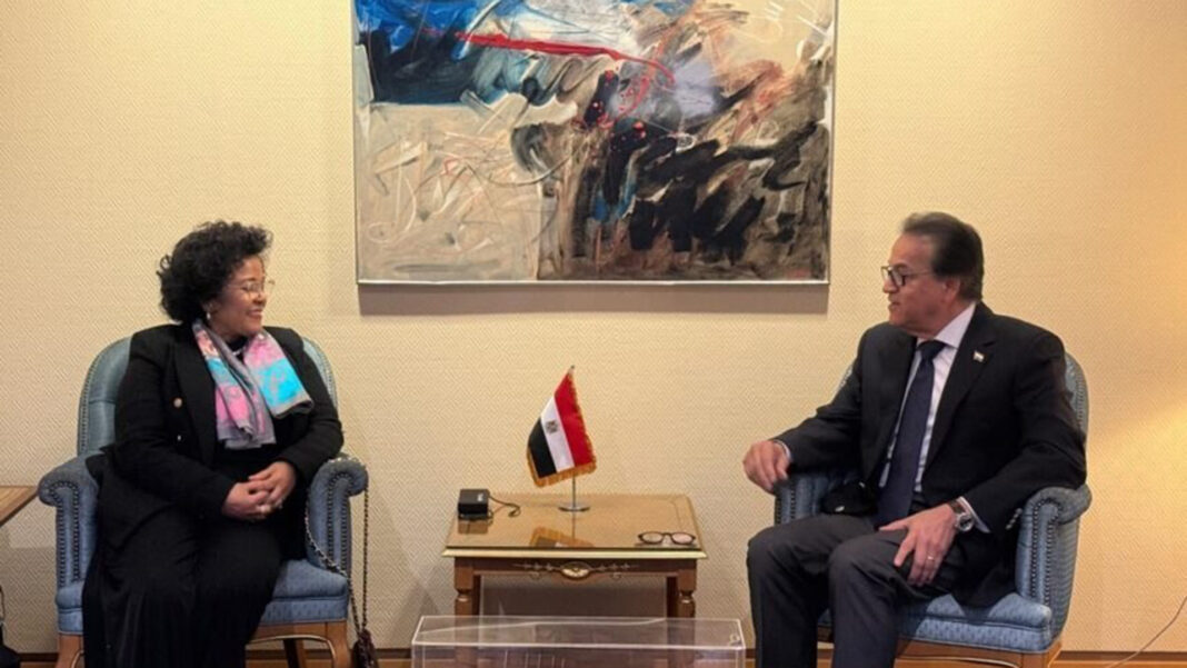 Egypt, AUDA-NEPAD agree to expand local drug and vaccine production in Africa