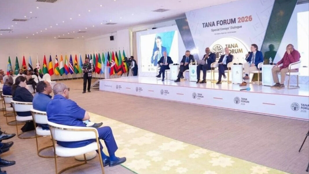 Ethiopia warns red sea militarization poses growing security threat to Horn of Africa